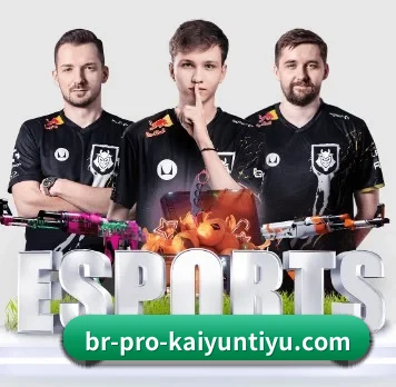 开云 APP（Kaiyun Sports）
